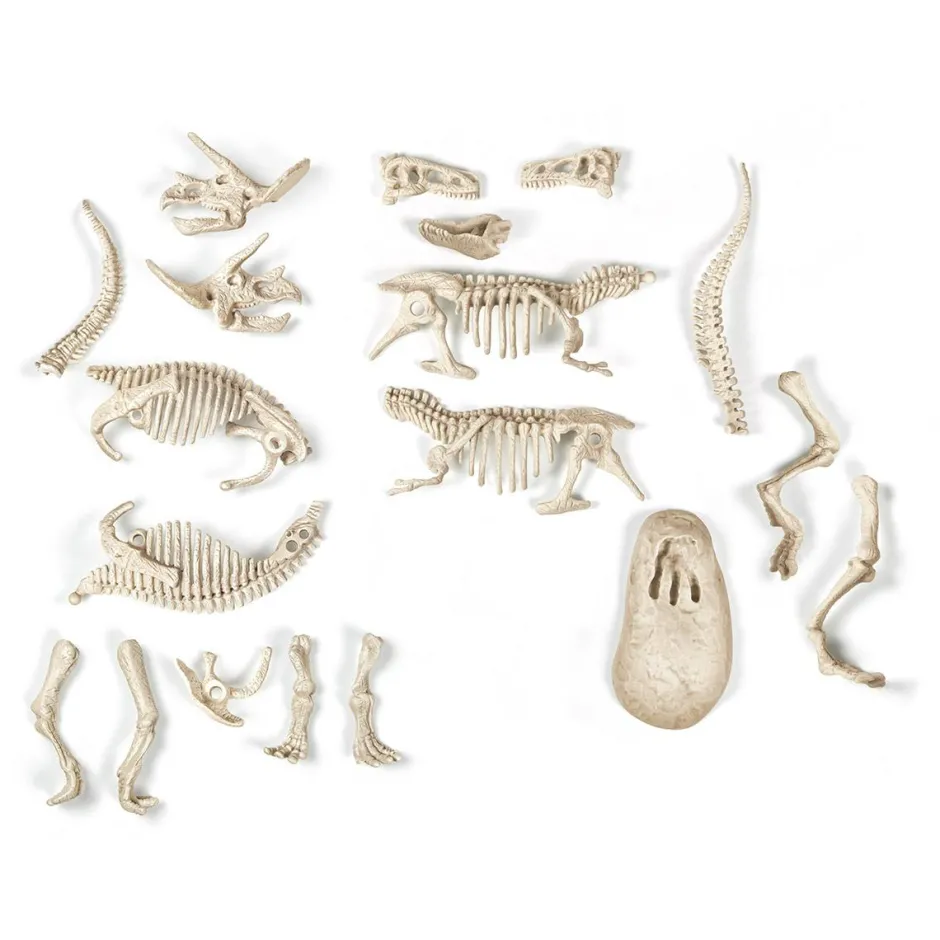 Archeo Ludic Trex et Triceratops^Clementoni Sale