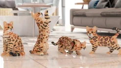 Bengal 4 En 1 Brun Bloc de Construction^Jekca