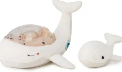 Famille de Baleines tranquilles blanches -^Cloud b New