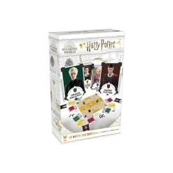 Harry Potter - Le maître des sorts^Topi Games