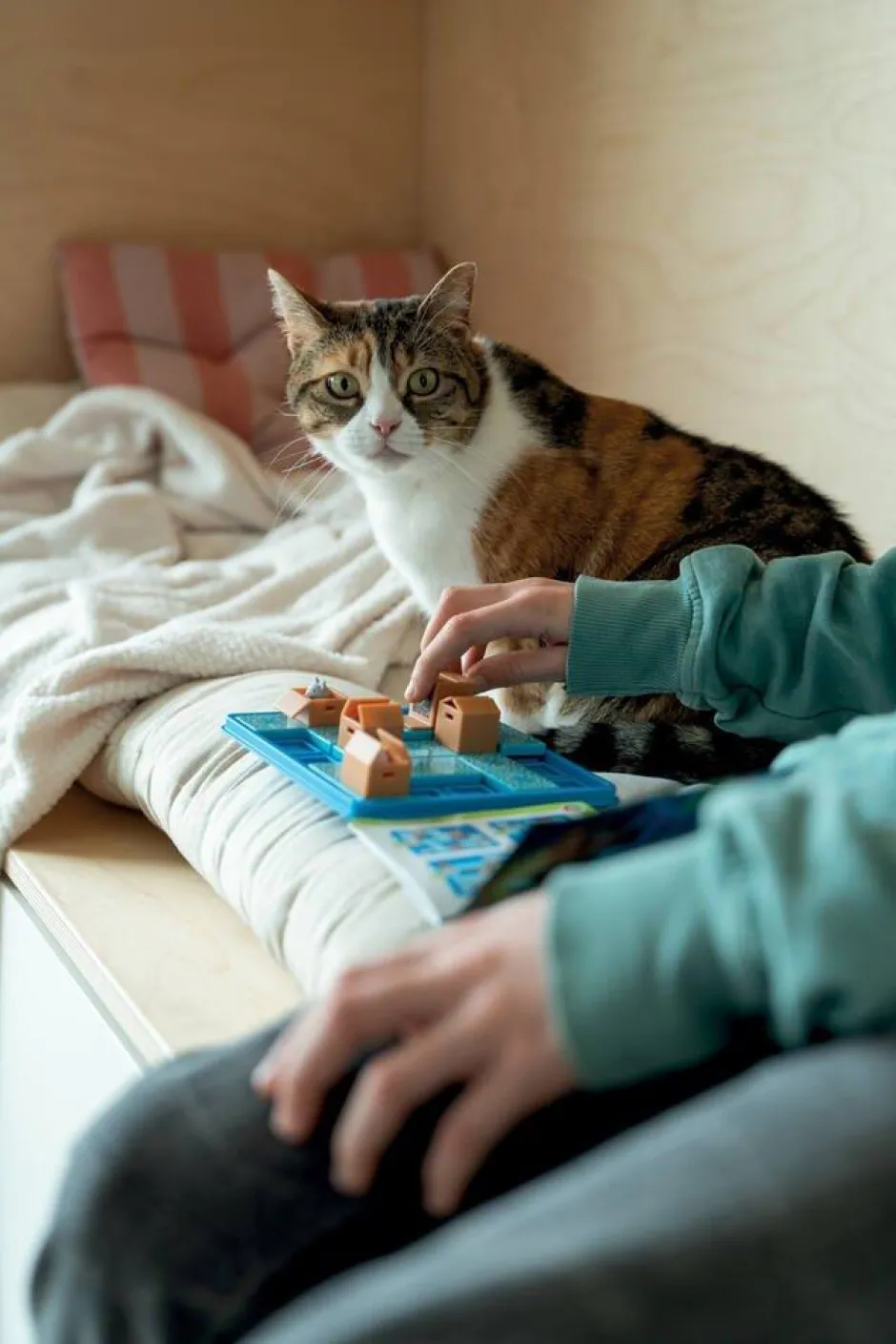 Jeu de reflexion - Chats Tournent En Rond^Smart Games Sale
