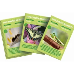 La maison des insectes^Clementoni Sale
