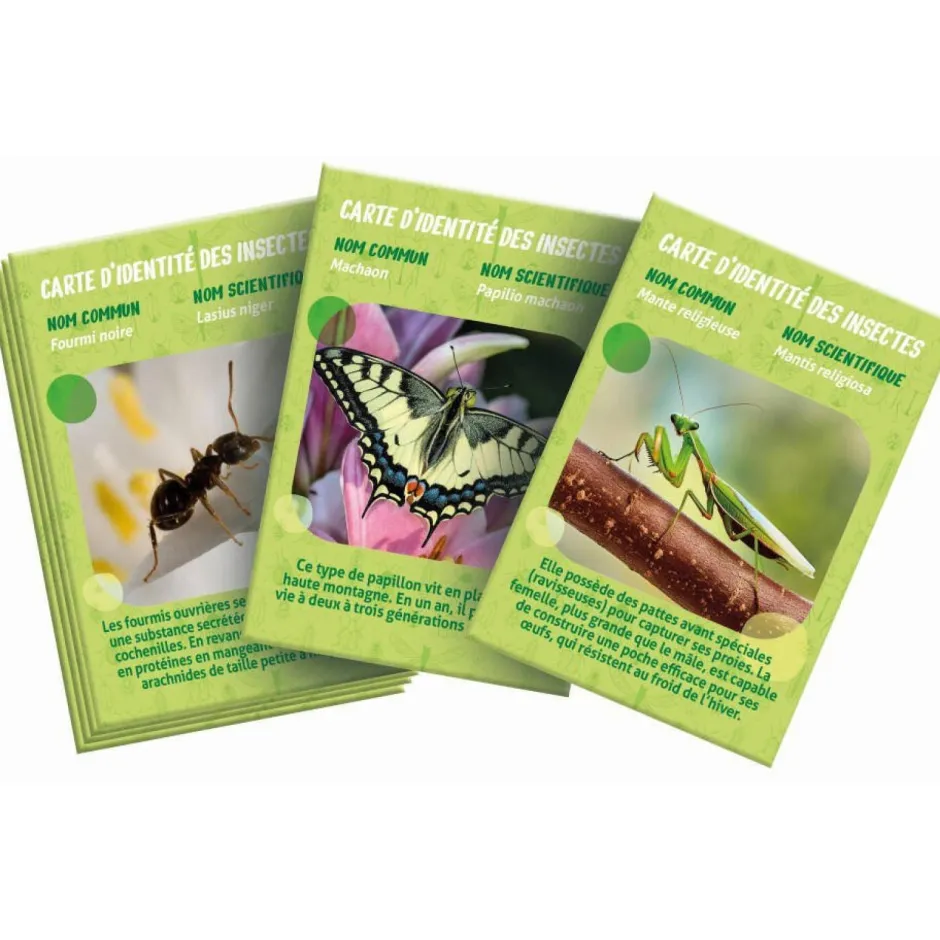 La maison des insectes^Clementoni Sale