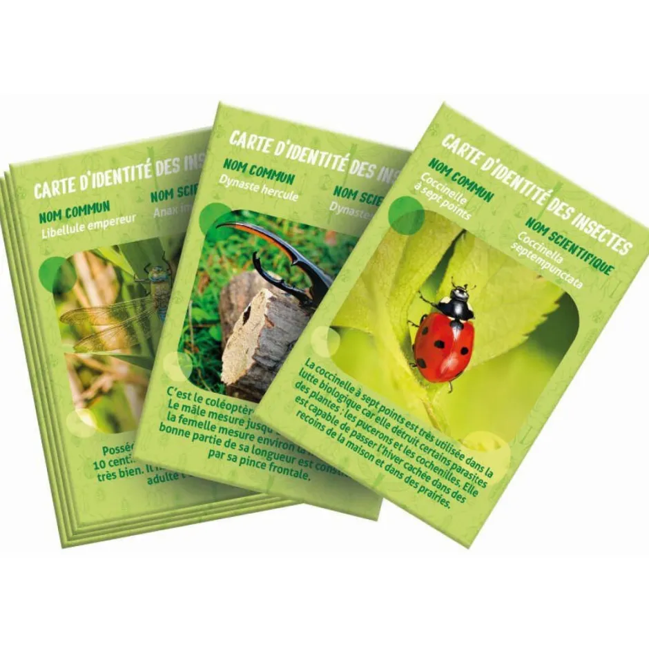 La maison des insectes^Clementoni Sale